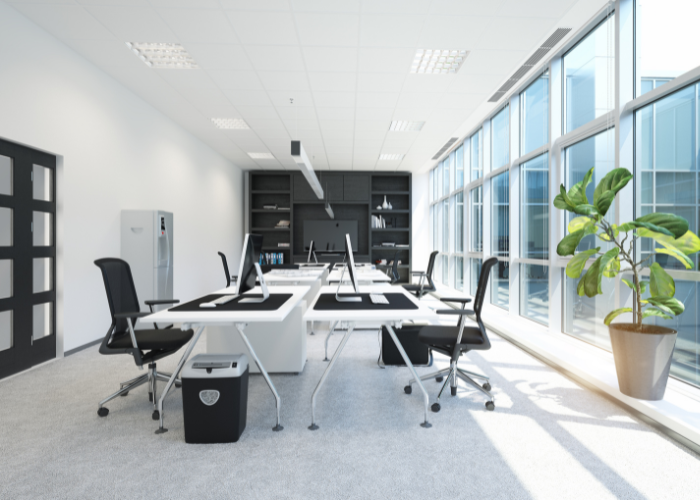 A modern, bright office space with several desks arranged in rows, each equipped with computers and office chairs. Large windows line one side of the room, allowing natural light to flood in. A potted plant adds a touch of greenery, and a cabinet and shelving unit complete the layout.